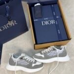 DIOR B25 - GRIS