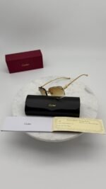 Cartier Panthera Gold - Brown - Image 2